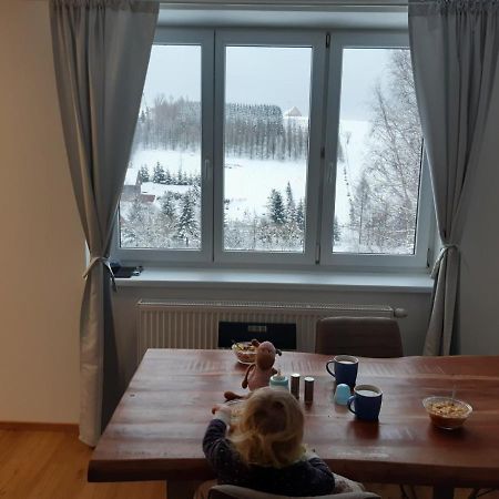 Appartement Apartmán u Kunštátského mlýna à Orlicke Zahori Extérieur photo