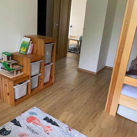 Appartement Apartmán u Kunštátského mlýna à Orlicke Zahori Extérieur photo