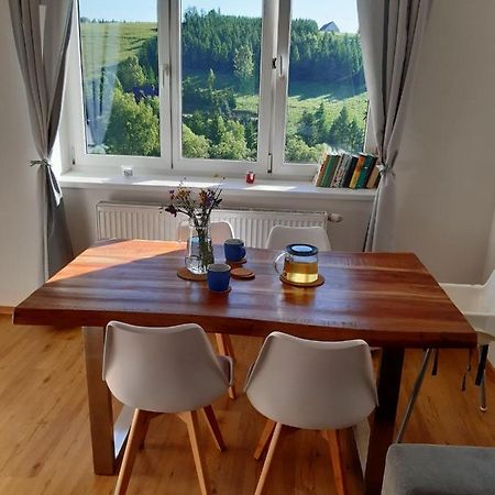 Appartement Apartmán u Kunštátského mlýna à Orlicke Zahori Extérieur photo