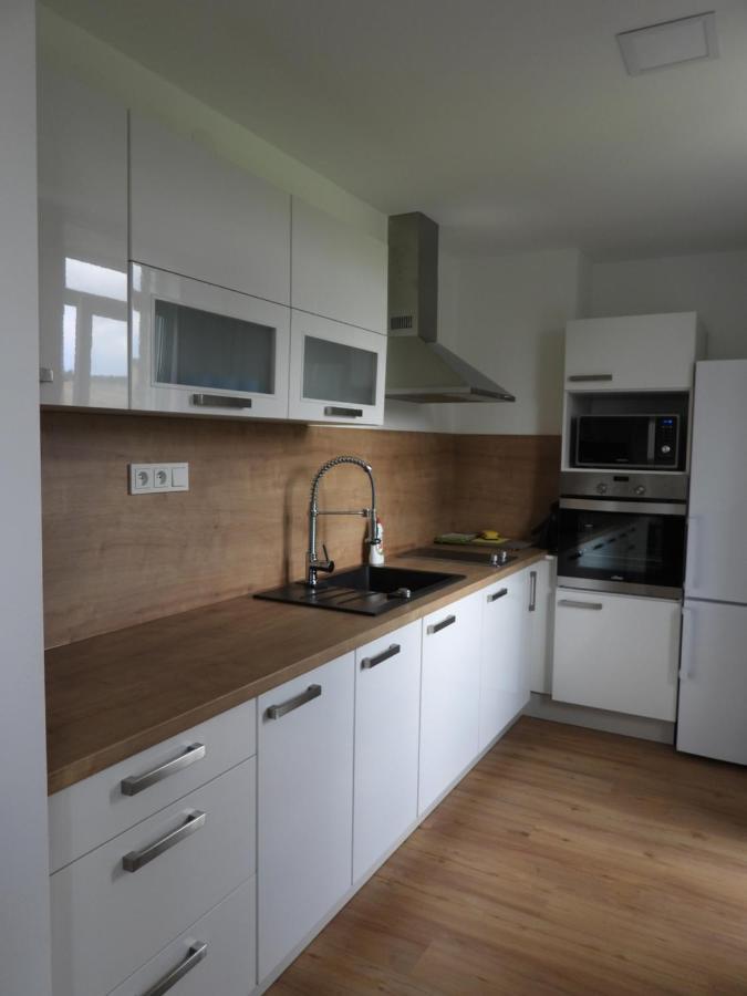 Appartement Apartmán u Kunštátského mlýna à Orlicke Zahori Extérieur photo