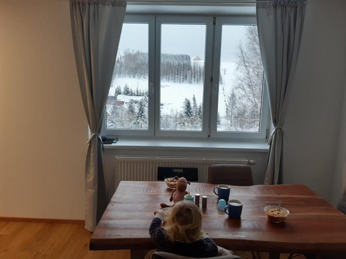 Appartement Apartmán u Kunštátského mlýna à Orlicke Zahori Extérieur photo