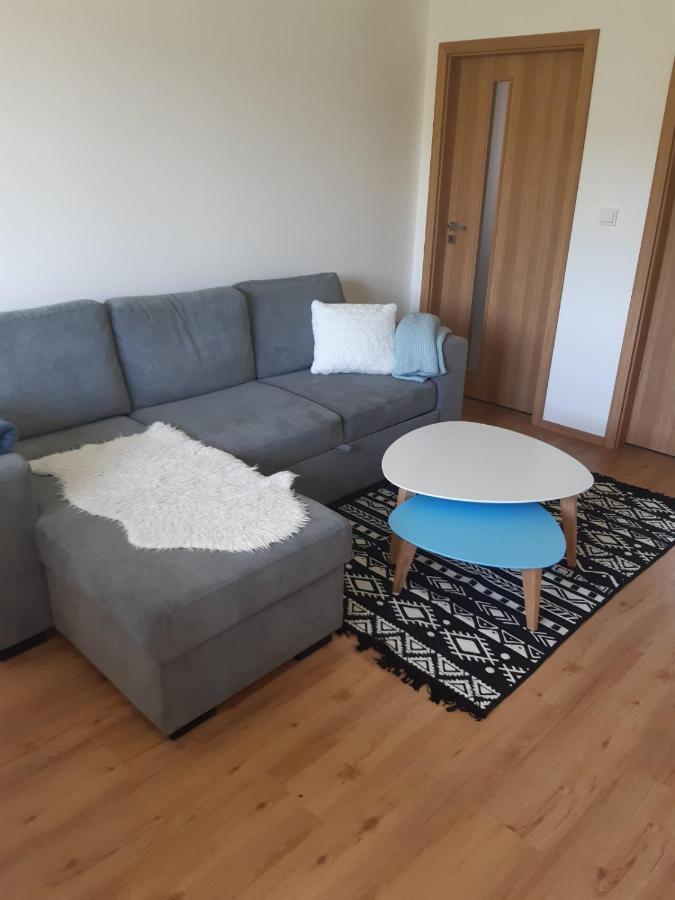 Appartement Apartmán u Kunštátského mlýna à Orlicke Zahori Extérieur photo