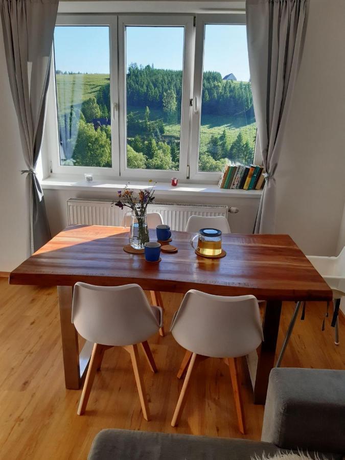 Appartement Apartmán u Kunštátského mlýna à Orlicke Zahori Extérieur photo