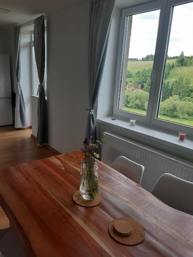 Appartement Apartmán u Kunštátského mlýna à Orlicke Zahori Extérieur photo