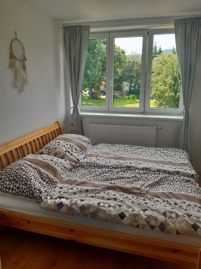 Appartement Apartmán u Kunštátského mlýna à Orlicke Zahori Extérieur photo