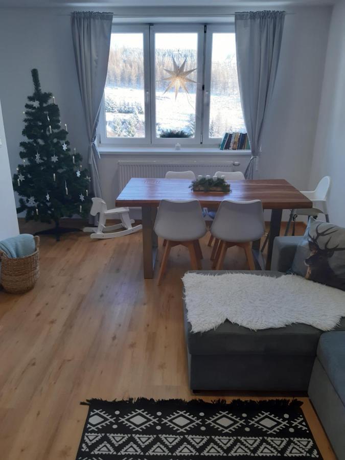 Appartement Apartmán u Kunštátského mlýna à Orlicke Zahori Extérieur photo