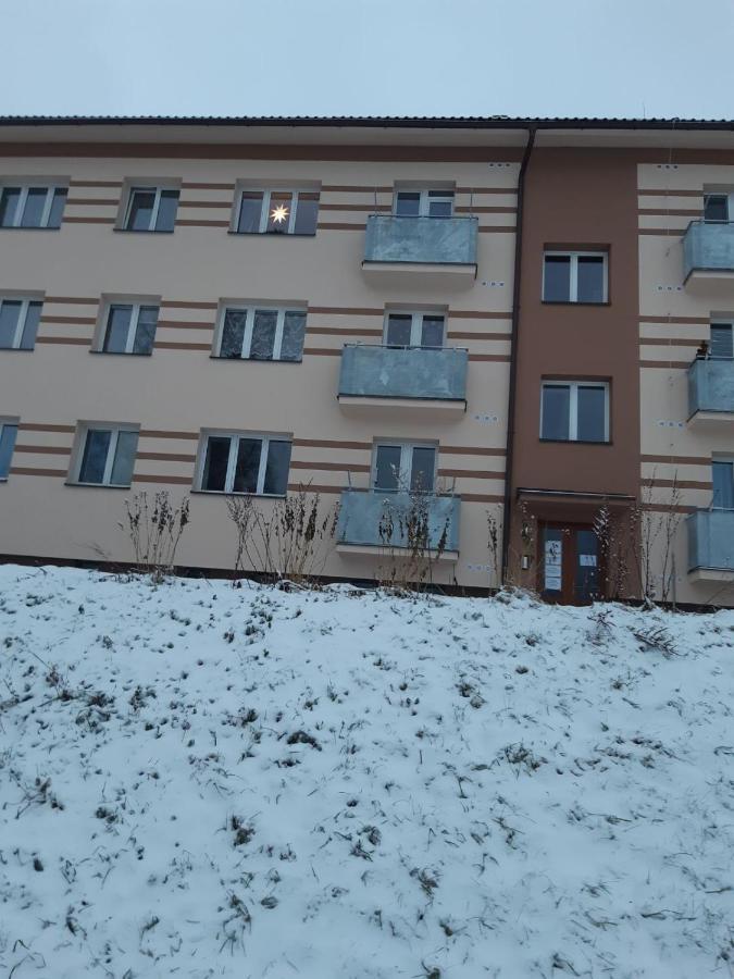 Apartmán u Kunštátského mlýna Orlicke Zahori Extérieur photo