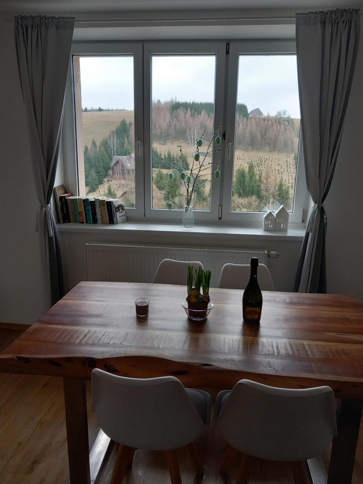 Apartmán u Kunštátského mlýna Orlicke Zahori Extérieur photo